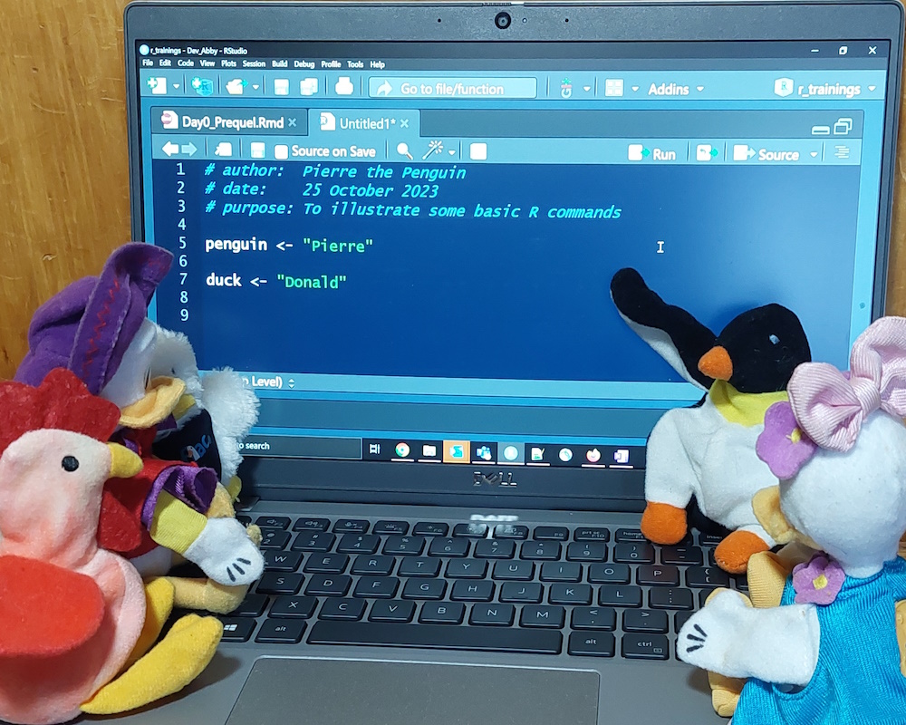 Photograph of Pierre the plush penguin pointing to an R script header in RStudio on his laptop while his plush poultry friemds watch