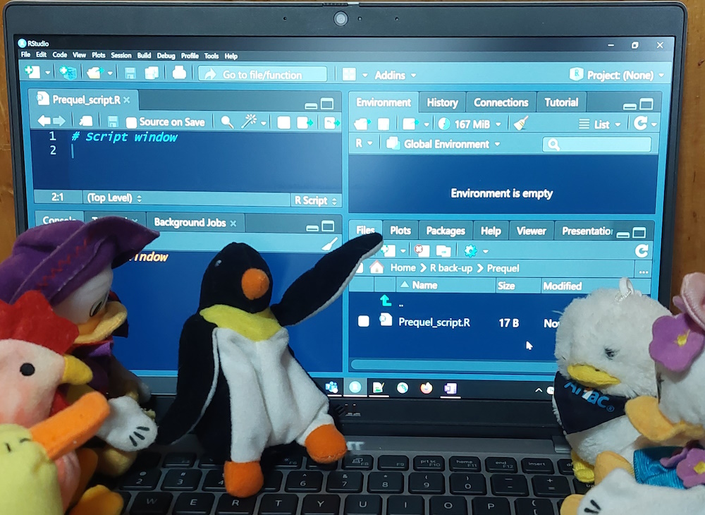 Photograph of Pierre the plush penguin pointing to a quadrant of RStudio on his laptop while his plush poultry friends watch