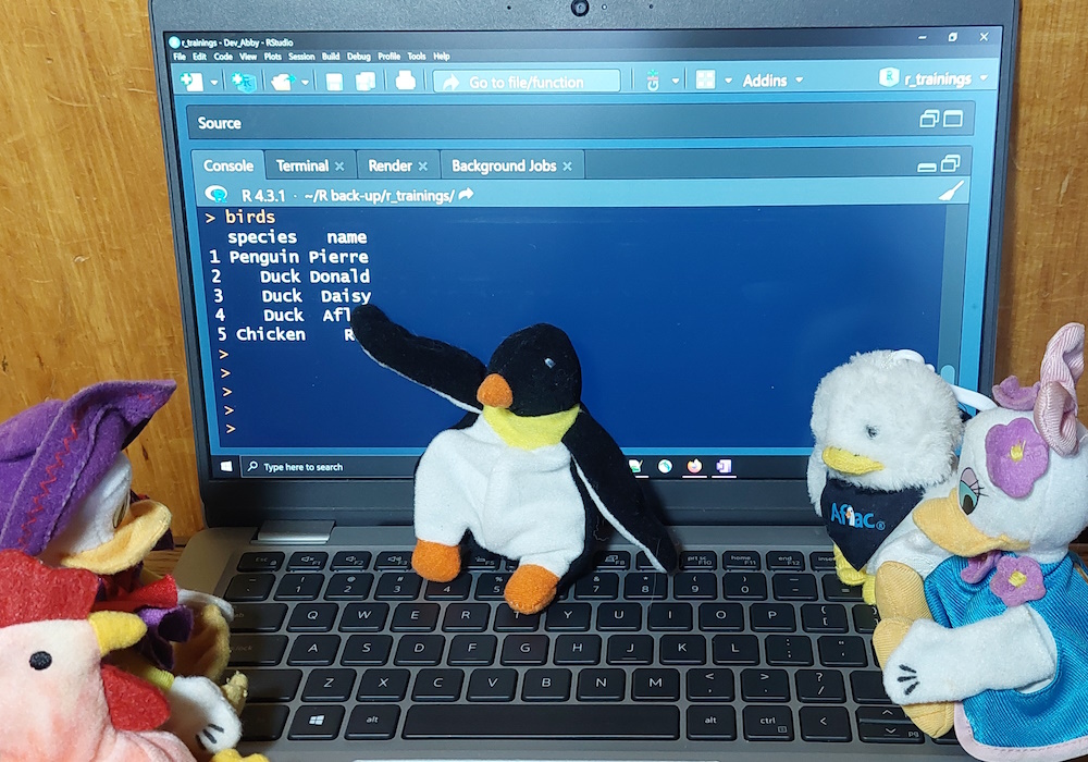 Photograph of Pierre the plush penguin pointing to the class list for his course in RStudio on his laptop while his plush poultry friends watch